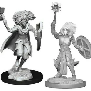 WizKids D&D Nolzur'S Marvelous Miniatures: Changeling Cleric Hot