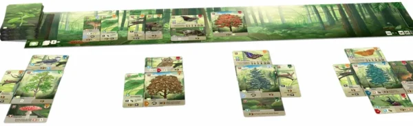 Lookout Spiele Forest Shuffle Nl Outlet