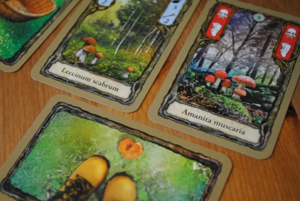 Pegasus Spiele Fungi - Kaartspel Hot