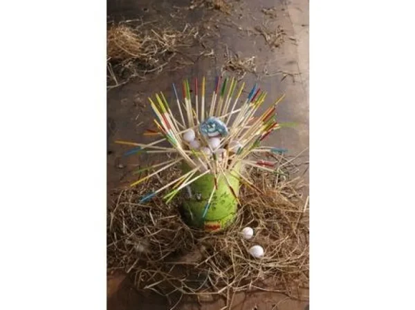 HABA Kiki Koekoek Cheap
