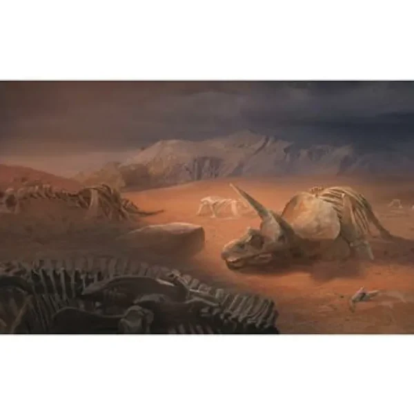 Space Cowboys Unlock! 4 - Exotische Avonturen Online