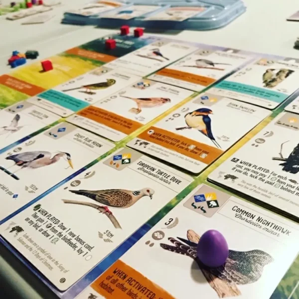 Stonemaier Games Wingspan European Expansion Store