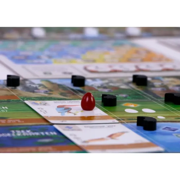 999 Games Wingspan Uitbreiding: Azie Nl Hot